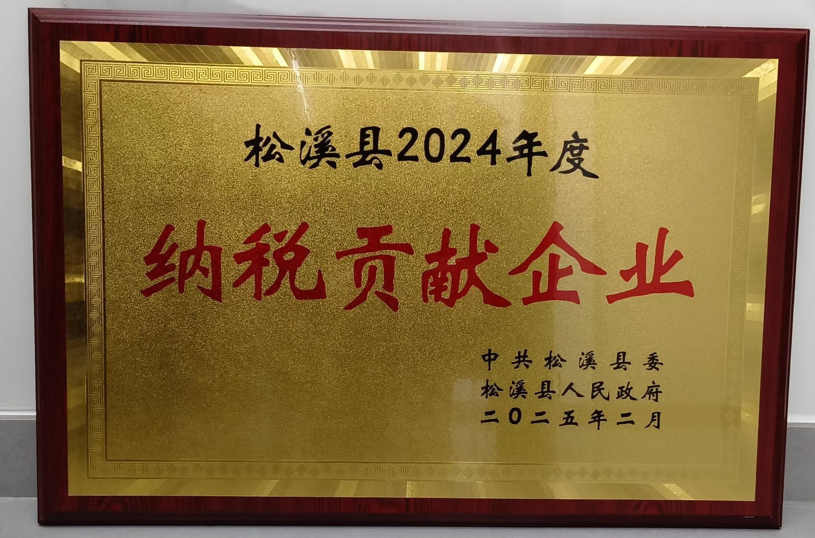 喜報(bào)!易順建工集團(tuán)榮獲“松溪縣2024年度納稅貢獻(xiàn)企業(yè)”稱號